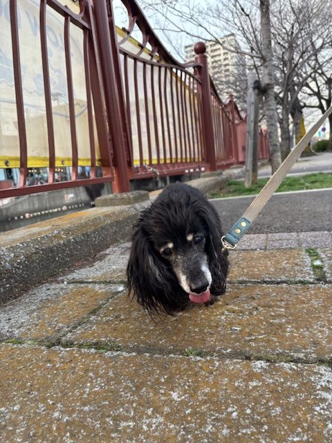 過ごしやすい日でした🌝イメージ