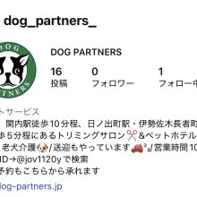 インスタグラムが再始動しました‼📸イメージ