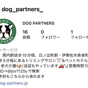 インスタグラムが再始動しました‼📸イメージ