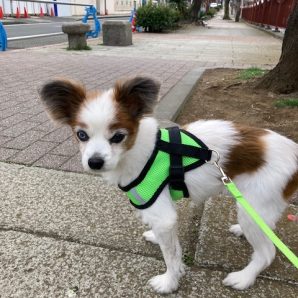 本日は肌寒い一日でした(≧◇≦)イメージ