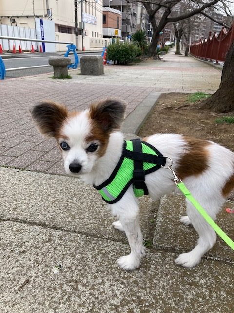 本日は肌寒い一日でした(≧◇≦)イメージ