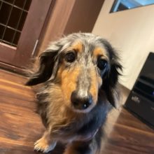 本日は1日中雨でした☔イメージ