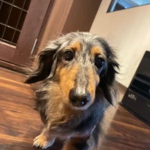 本日は1日中雨でした☔イメージ