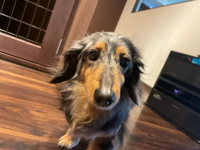 本日は1日中雨でした☔イメージ