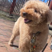 本日は晴れた一日でした(≧◇≦)イメージ