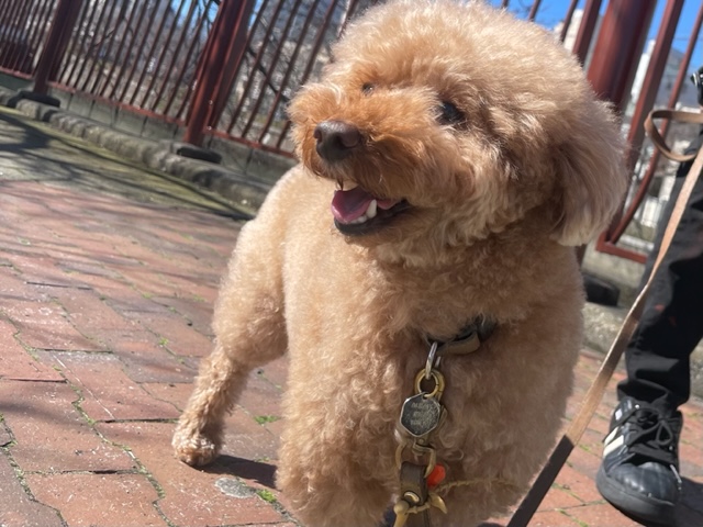 本日は晴れた一日でした(≧◇≦)イメージ